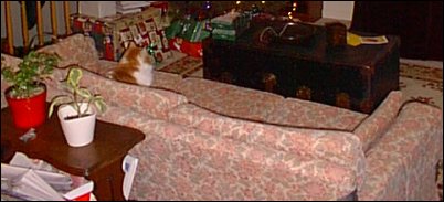The couch in December 2002, 27 years old, 12 clothed in florals .